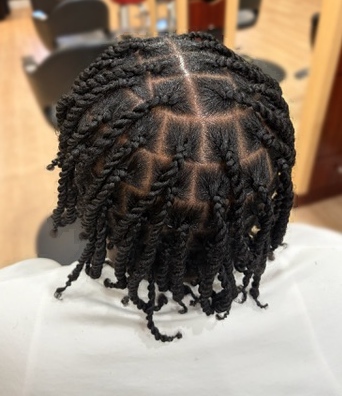 Two-strand twists with sectioned parting at TEXTURES Hair Salon